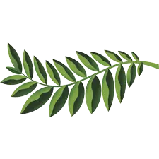 Native Woodlands, PrintReleaf, Laser Imaging