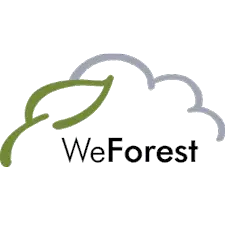 We Forest, PrintReleaf, Laser Imaging